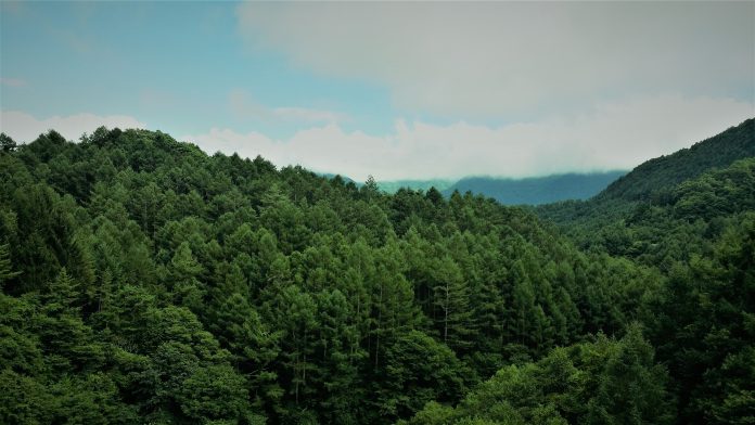 clouds-daylight-environment-1481581
